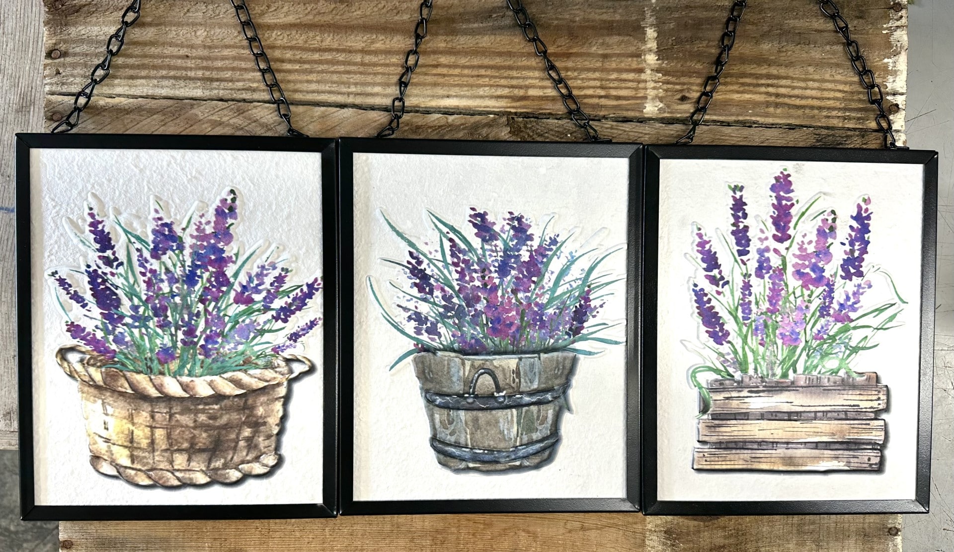 Assorted Lavender  Wall Decor